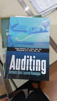 Auditing Berbasis Akun Laporan Keuangan