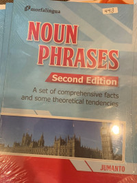 Image of Noun Phrases ; A Set Of ComprehensiveFacts And Some Theoretical Tendencies