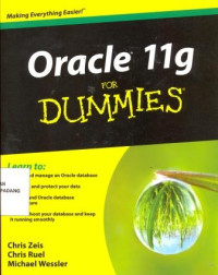 Oracle 11g for Dummies