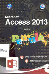 Microsoft Access 2013