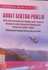 Audit Sektor Publik